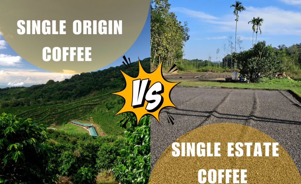 Single Origin Coffee and Single Estate Coffee