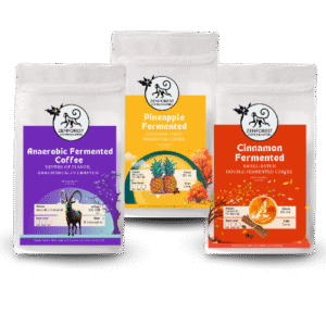 Fermented Experience Box