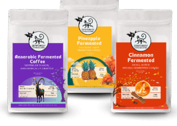 Fermented Experience Box