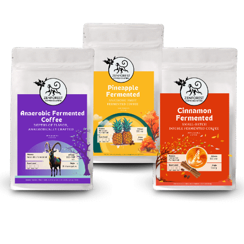 Fermented Experience Box