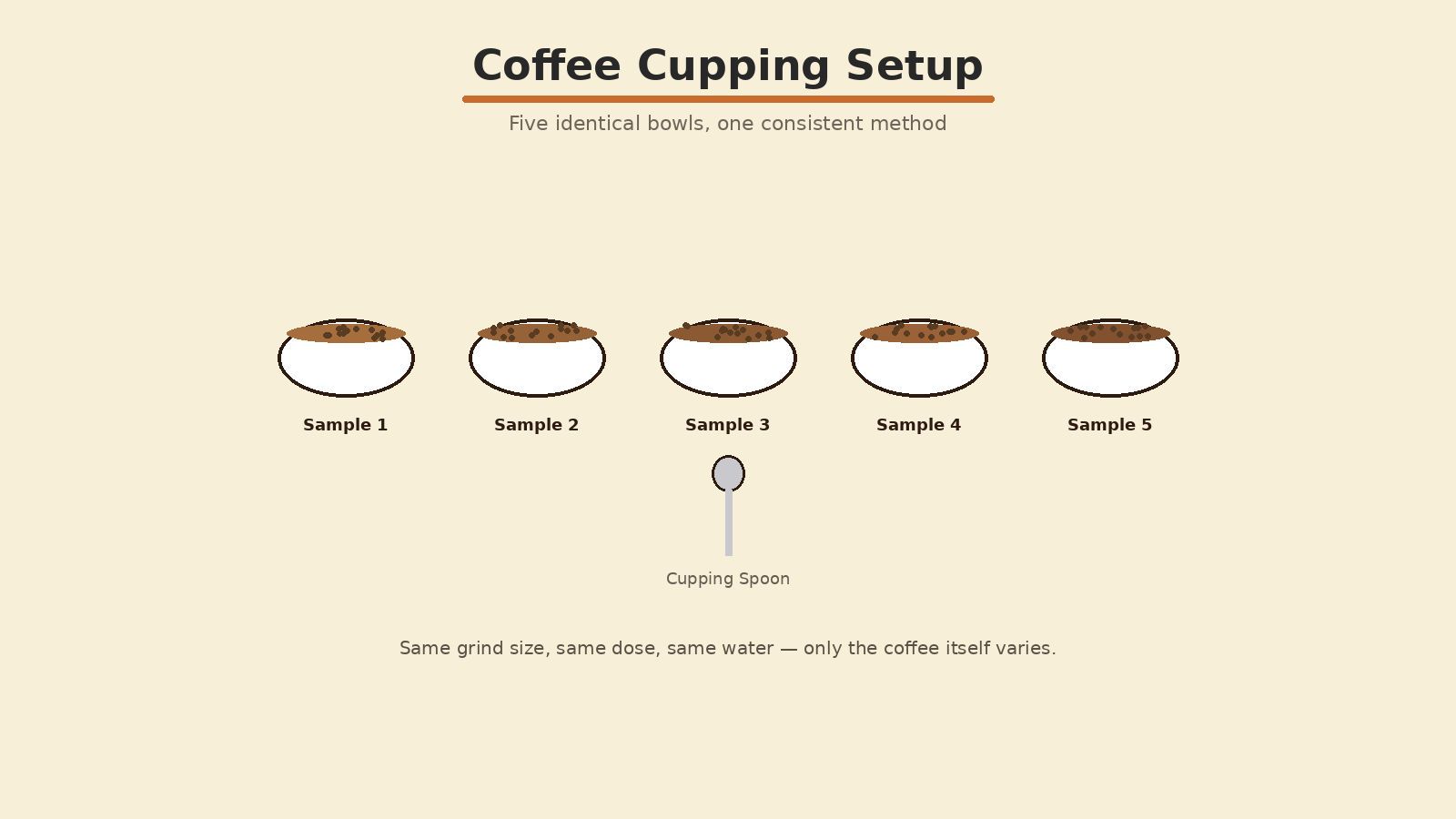 Coffee cupping setup at home showing bowls, grounds, and scoring sheet