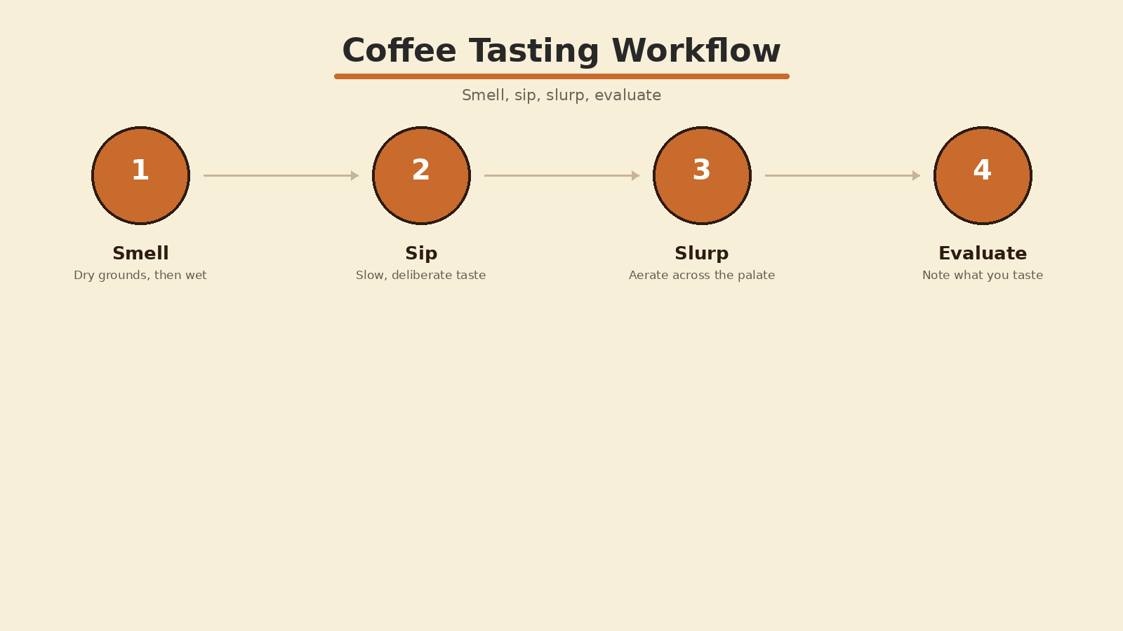 Coffee tasting workflow showing smell, sip, slurp, and evaluate steps