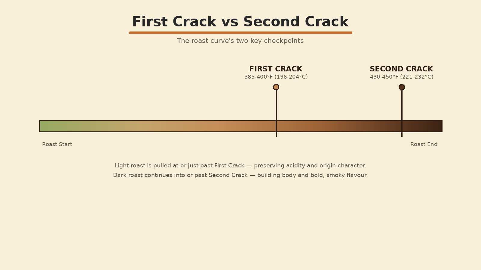 First crack vs second crack timeline during coffee roasting